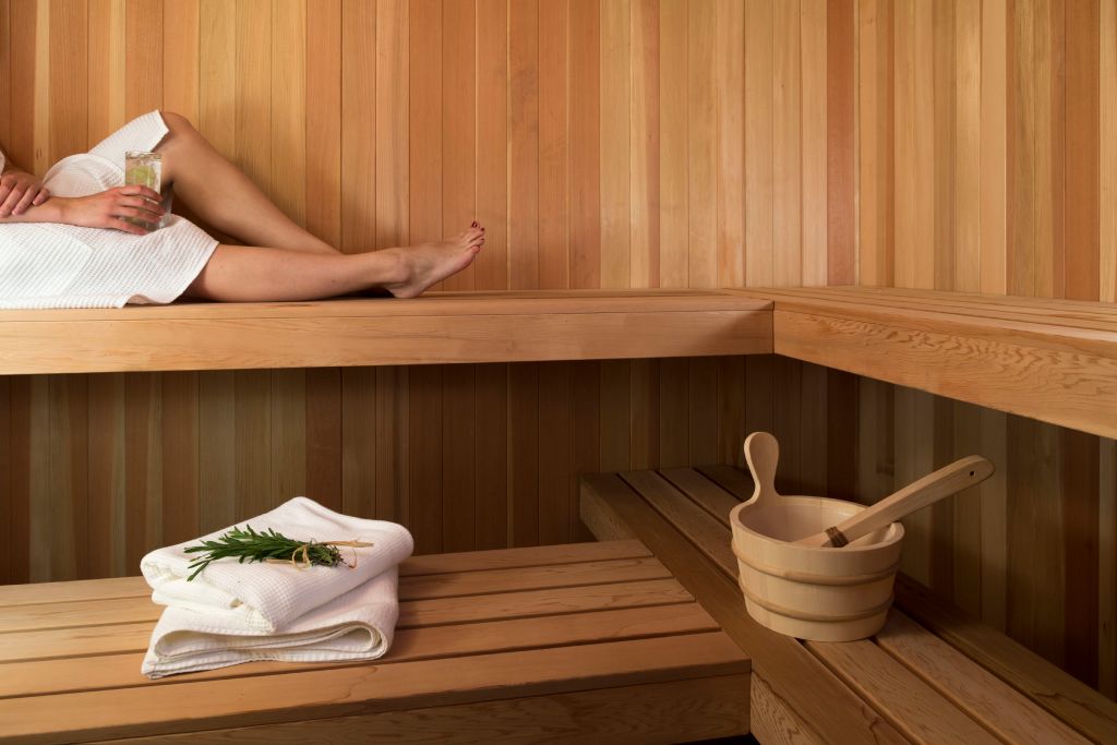 <strong>Sauna</strong> dry or steam. Which one to choose?