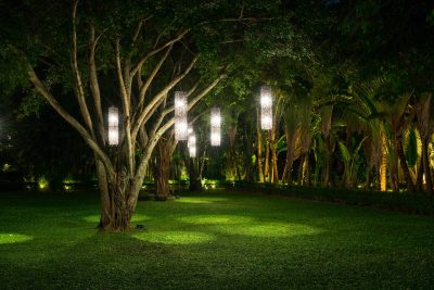 światła na drzewie w ogrodzie