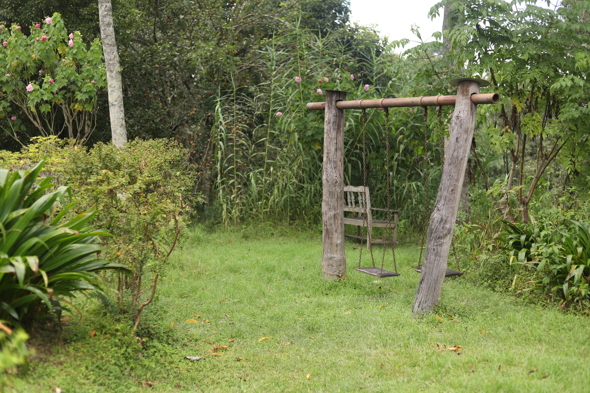 <strong>Garden with a swing.</strong> Inspirations and ideas for fashionable decor