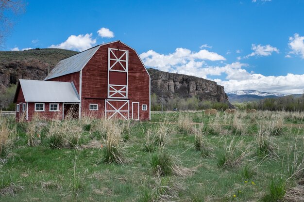Exploring the Benefits of Rural Living and Homestead Development in Minnesota